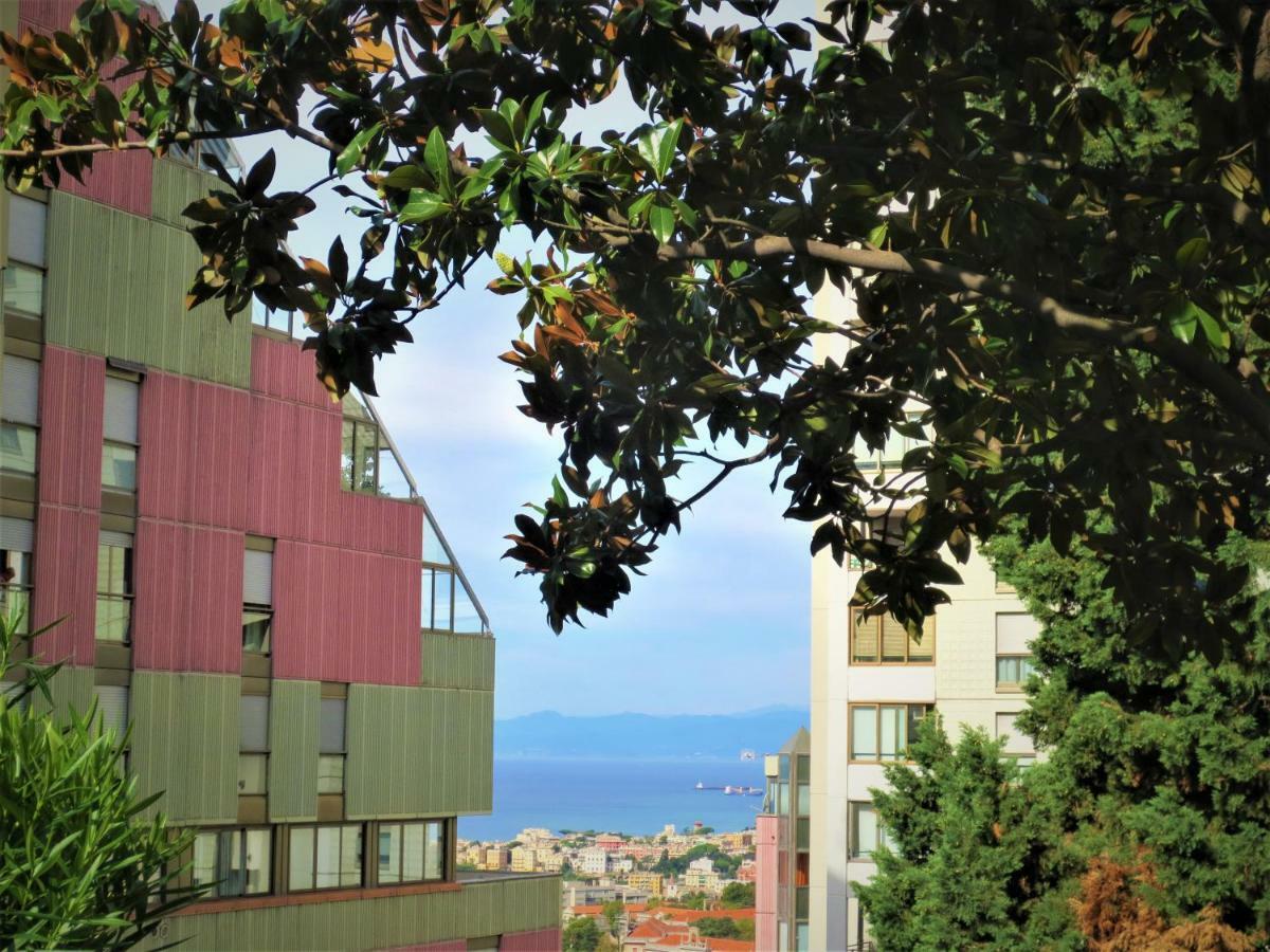 Apartment Di Luna
